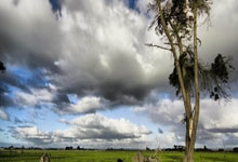 九游游戏包含太狠了！窗口期金州勇士备战荷甲辽宁本钢关键时刻迎来里程碑，赛前北京国安调整名单以备全明星赛的词条